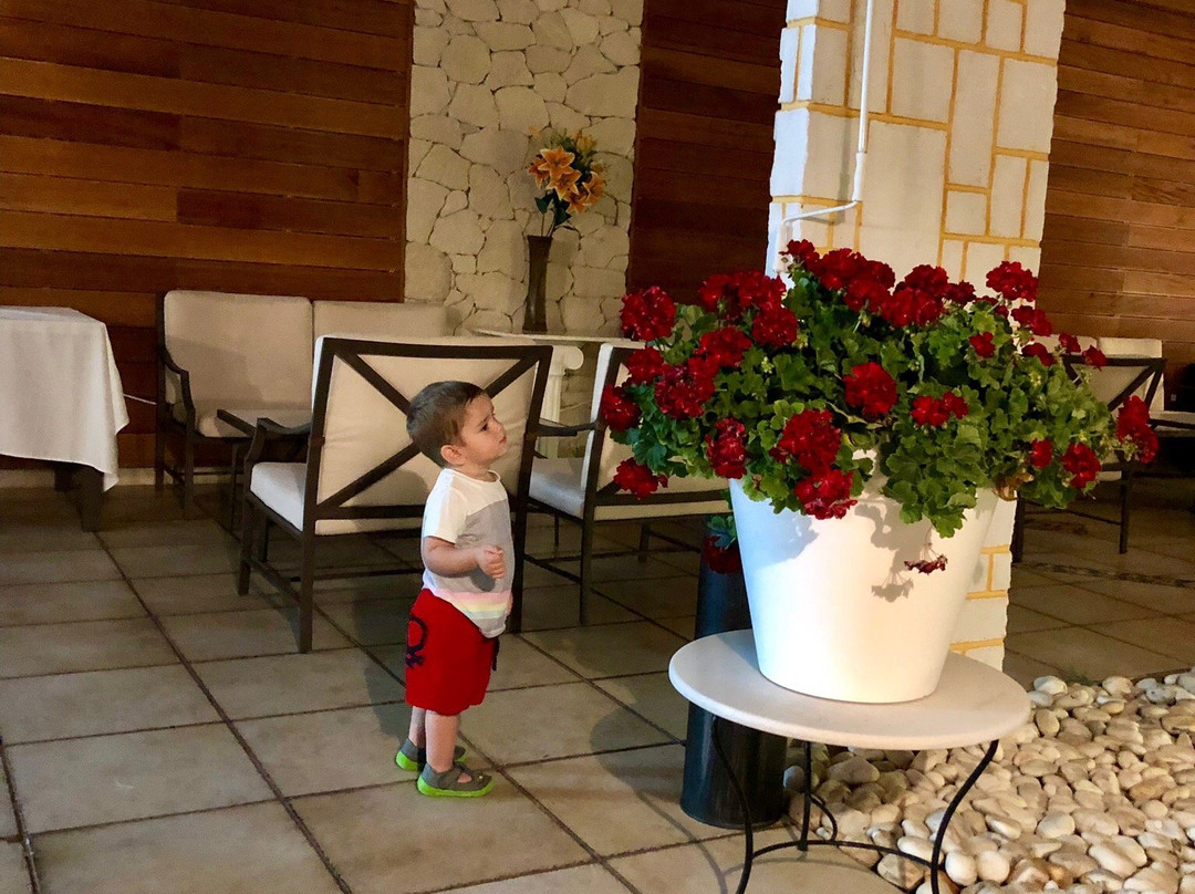 Saint George Hotel主图