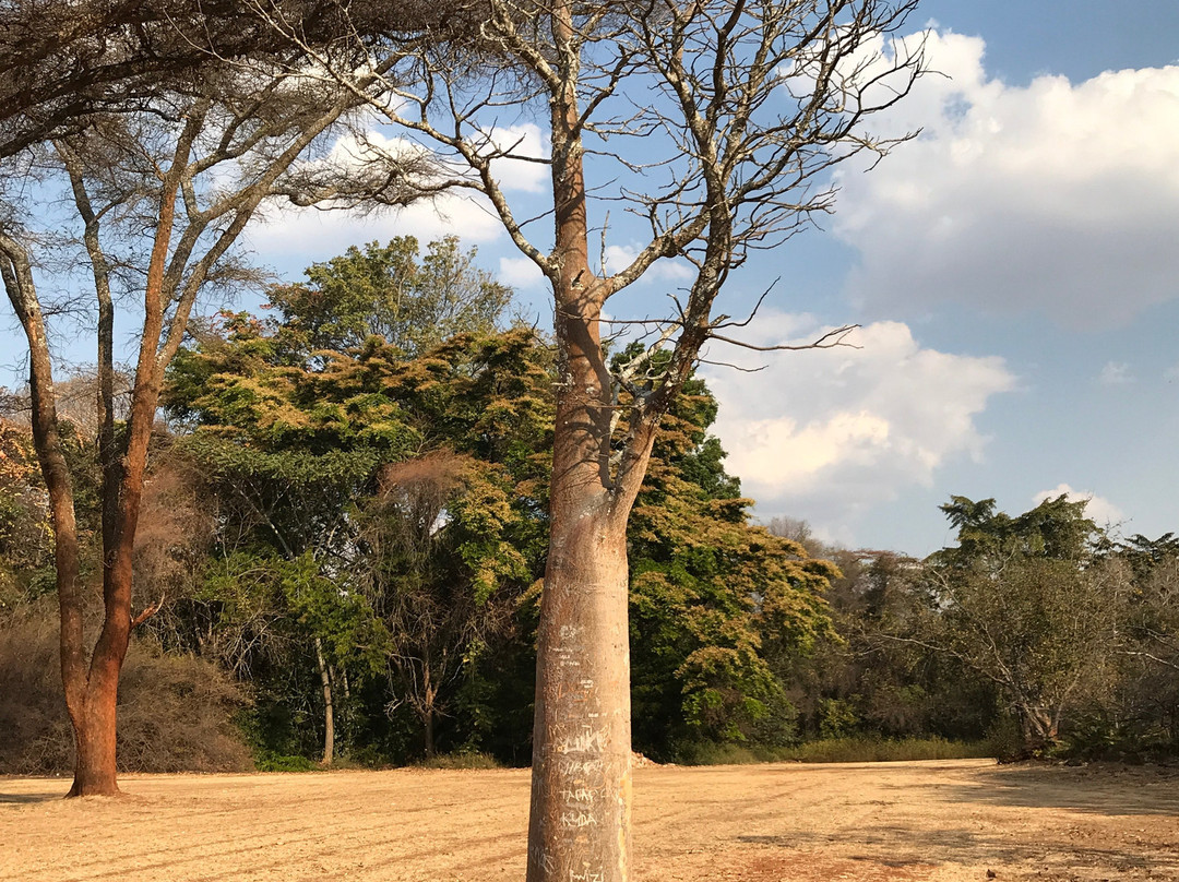 National Botanical Gardens景点图片
