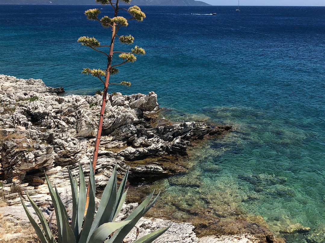 Nefeli Apartments主图