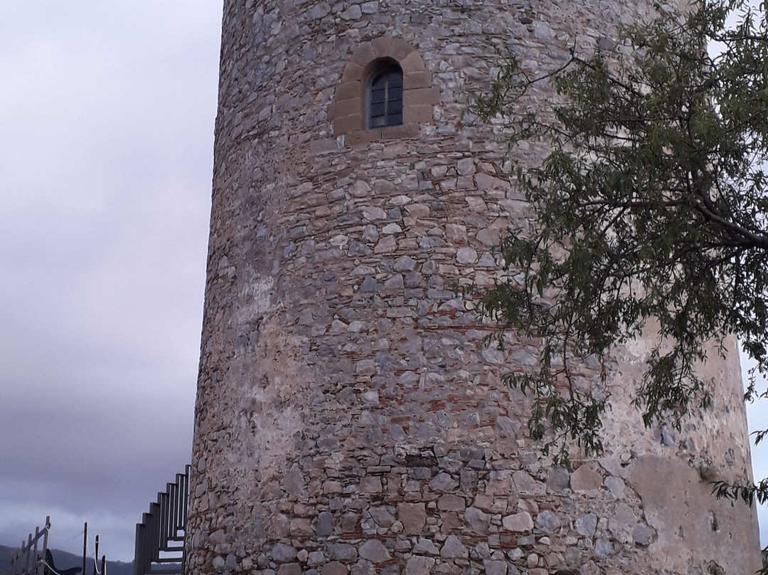 Torre Saracena景点图片