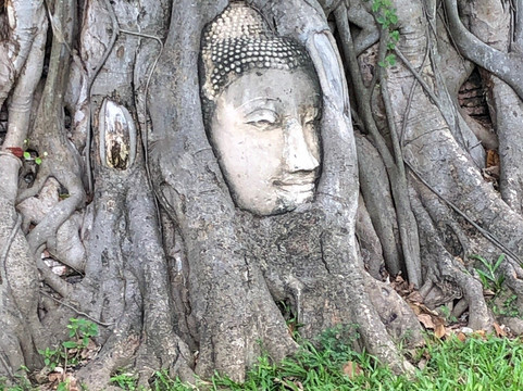 Yettosee Asia Tours & Travels-曼谷必去景点