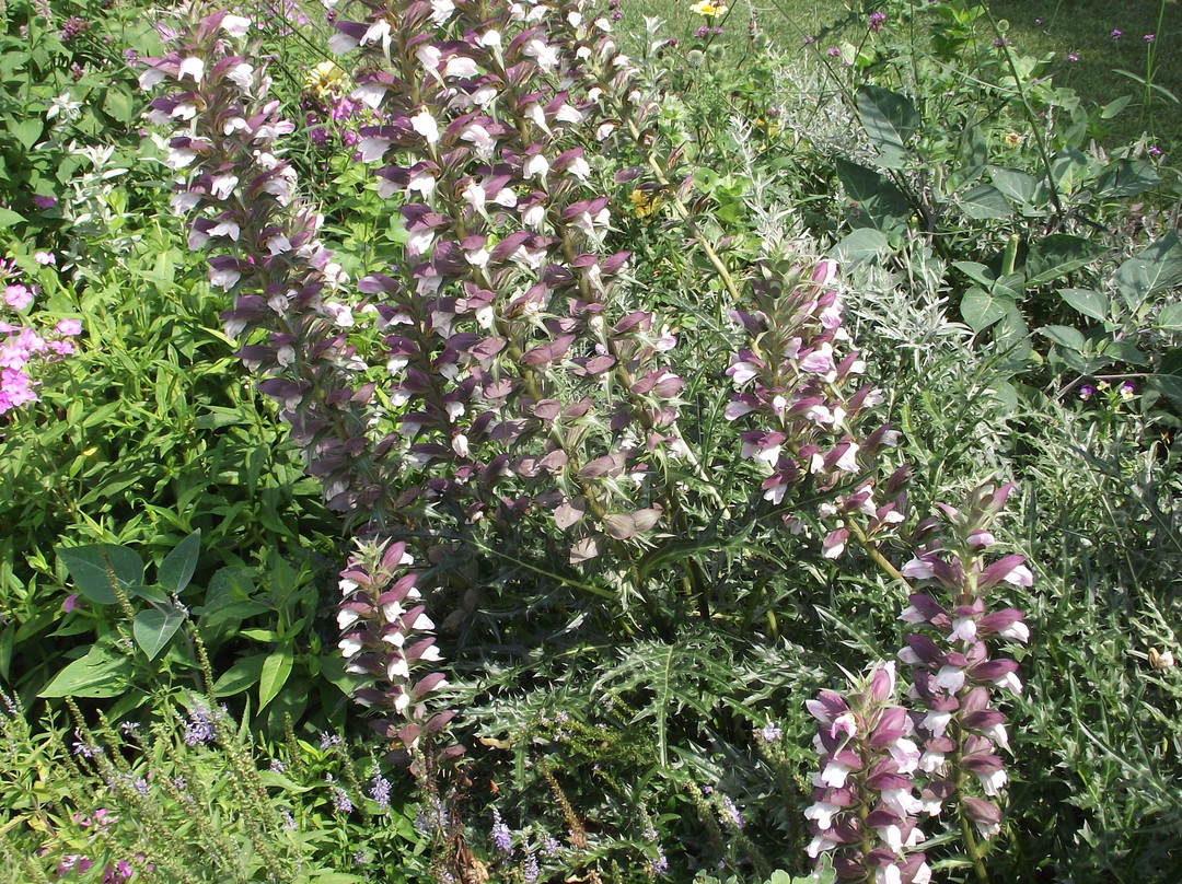 巴萃姆花园-费城必去景点