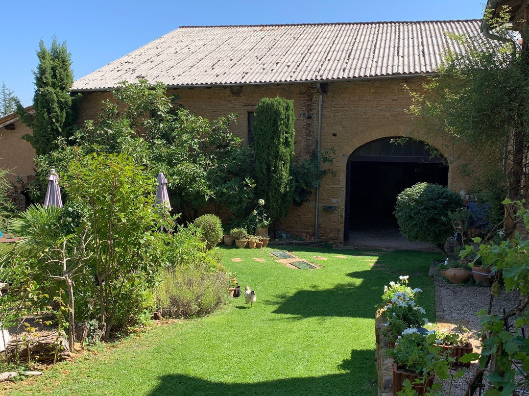 Le Clos des Sources Bonave主图