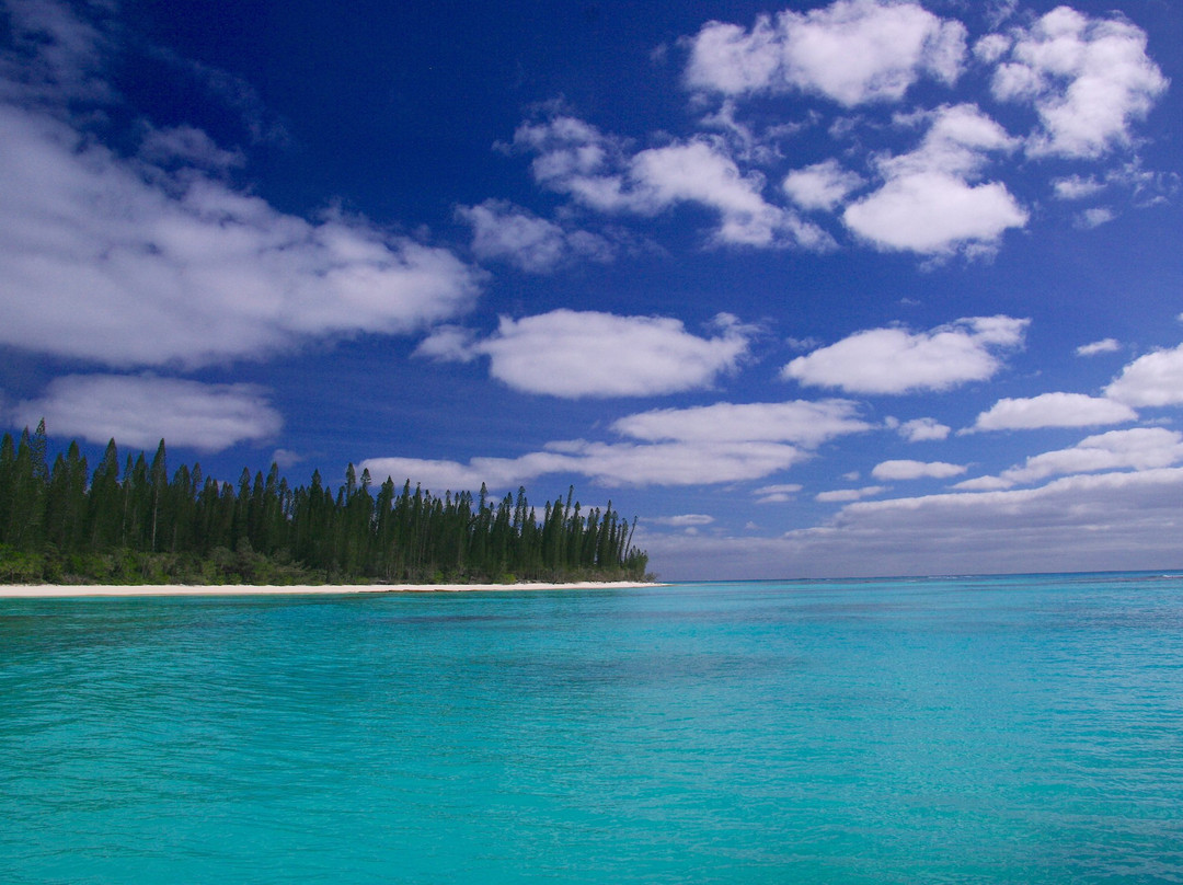 Brush Island-Ile Des Pins必去景点