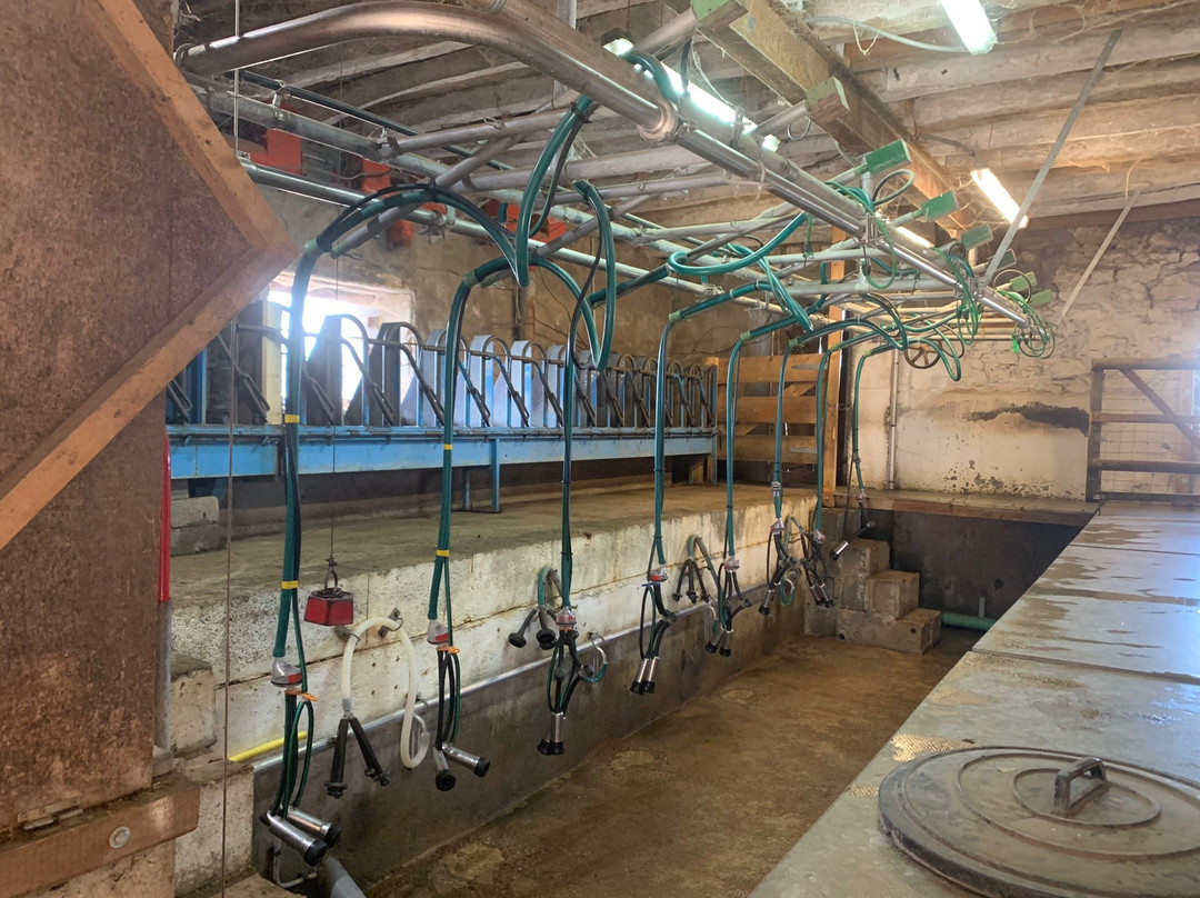 Ferme du Cabri au Lait-Sepmes必去景点