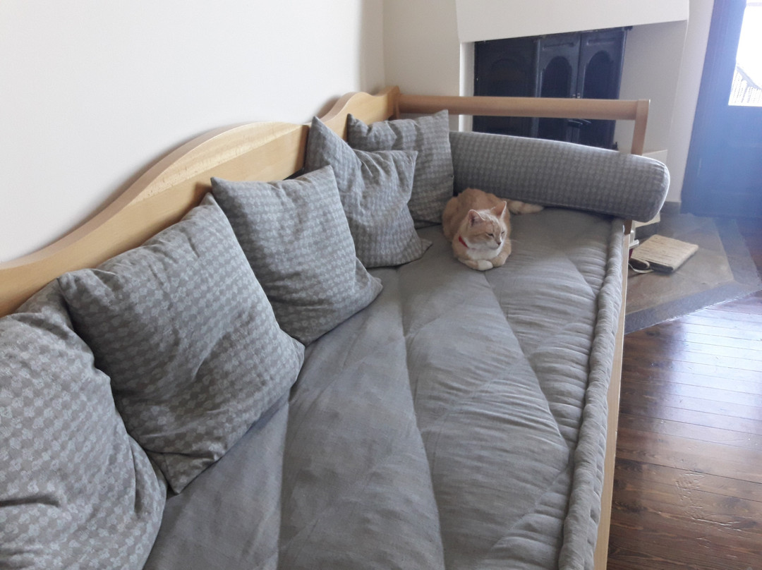 Dohos Hotel Experience主图