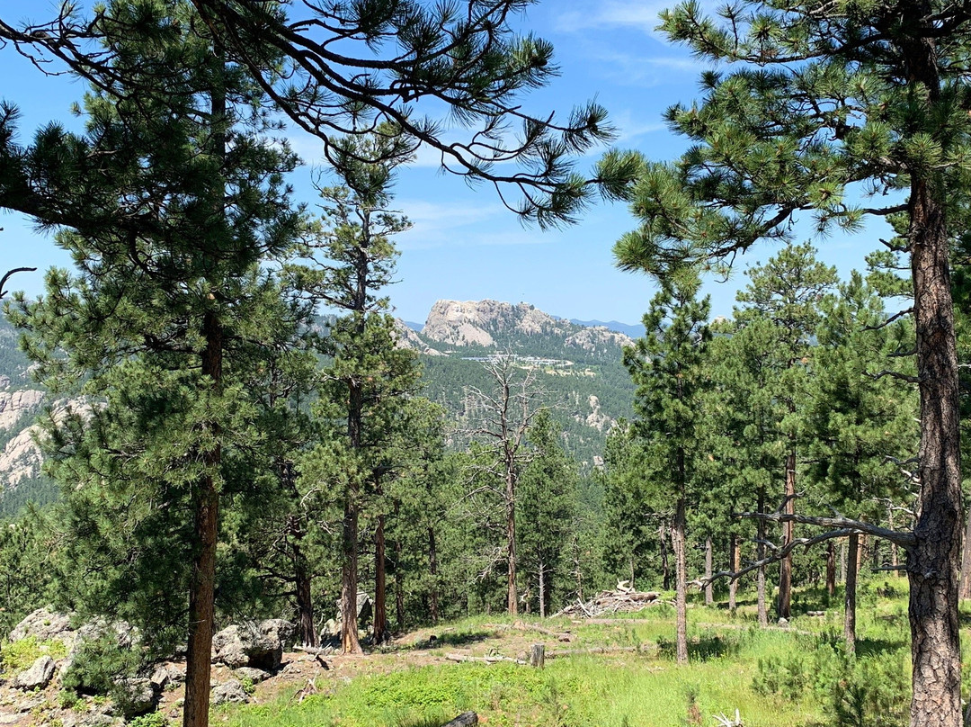 Peter Norbeck Scenic Byway-卡斯特必去景点