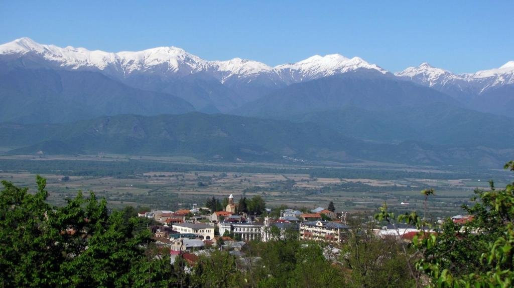 Omsi House Telavi主图