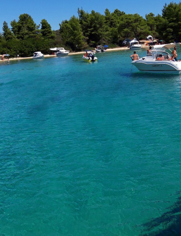 Eirinikos Glassbottom Daily & Private Cruises景点图片