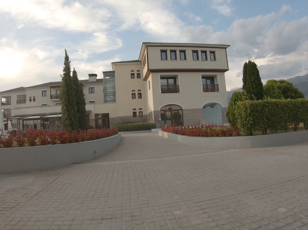 Hotel Du Lac Congress Center & Spa主图