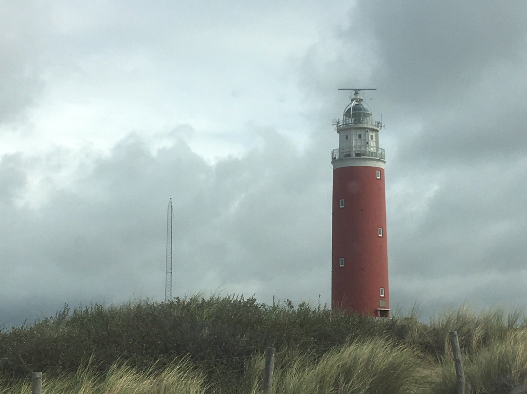 Vuurtoren Texel景点图片