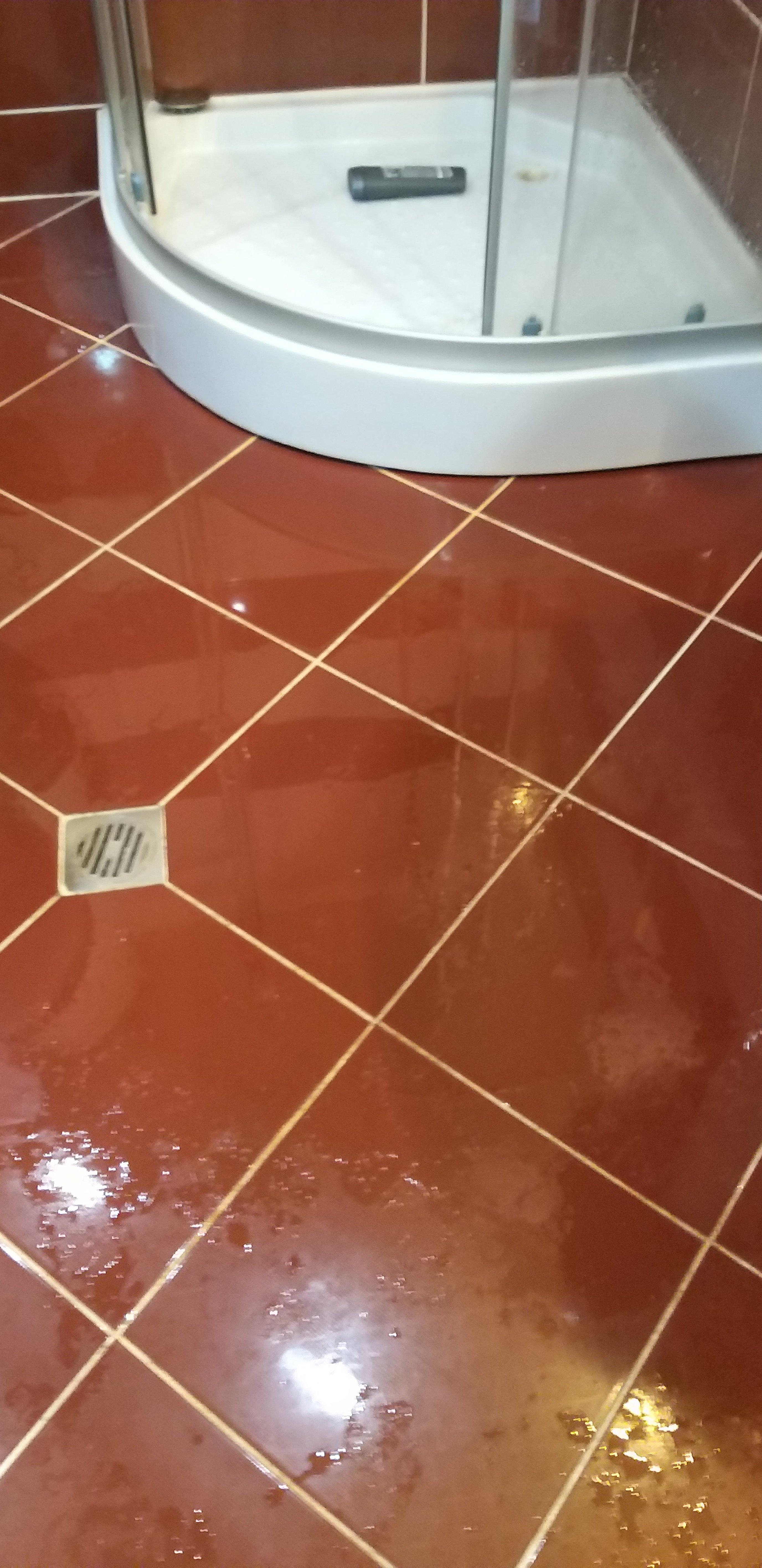 蓝珍珠酒店-浴室