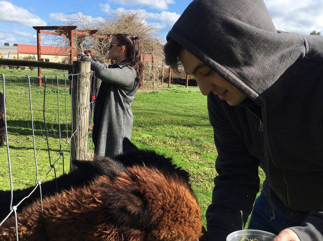 The Big Bouquet-希尔斯维尔必去景点