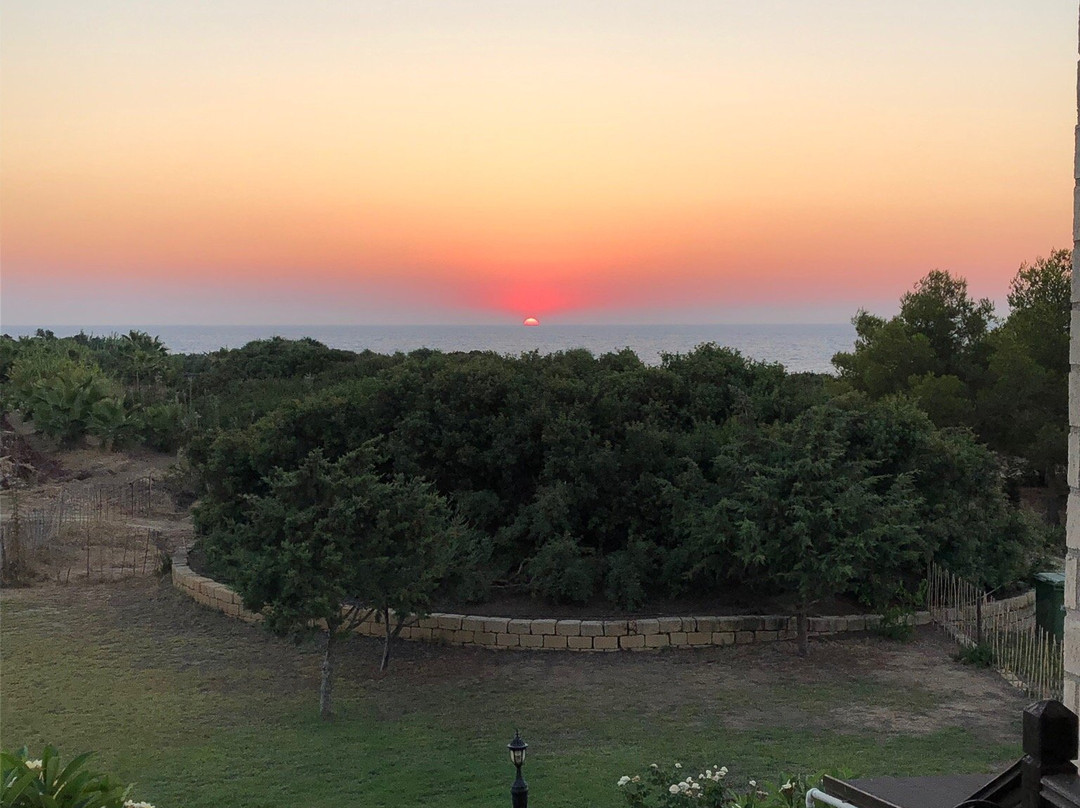 Balci Plaza Hotel & Restaurant - North Cyprus主图