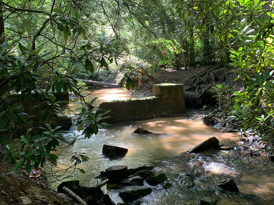 West Virginia Botanic Garden景点图片