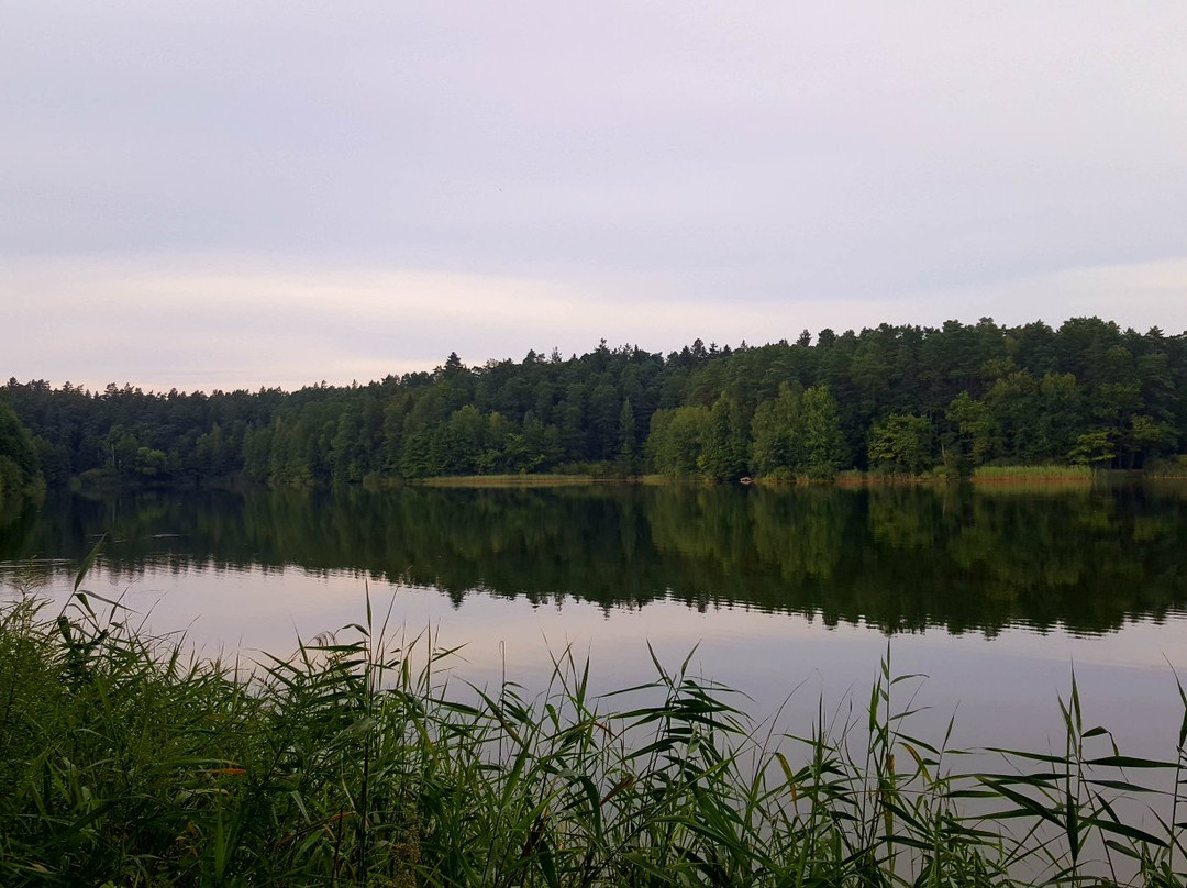 Jezioro Długie景点图片