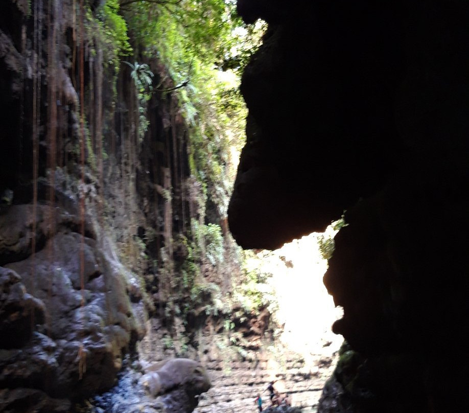 Dindin Tour - Day Tours-庞岸达兰必去景点