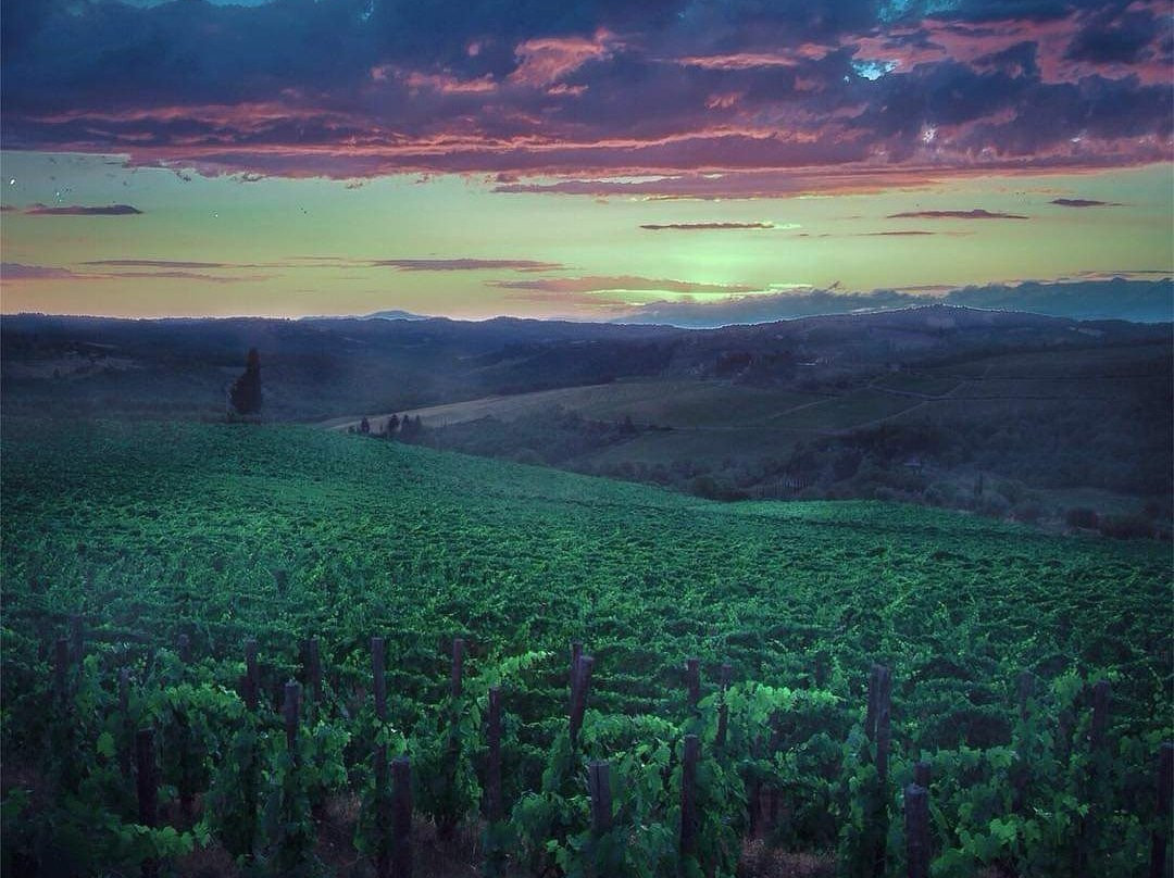 Poggio all'Olmo主图