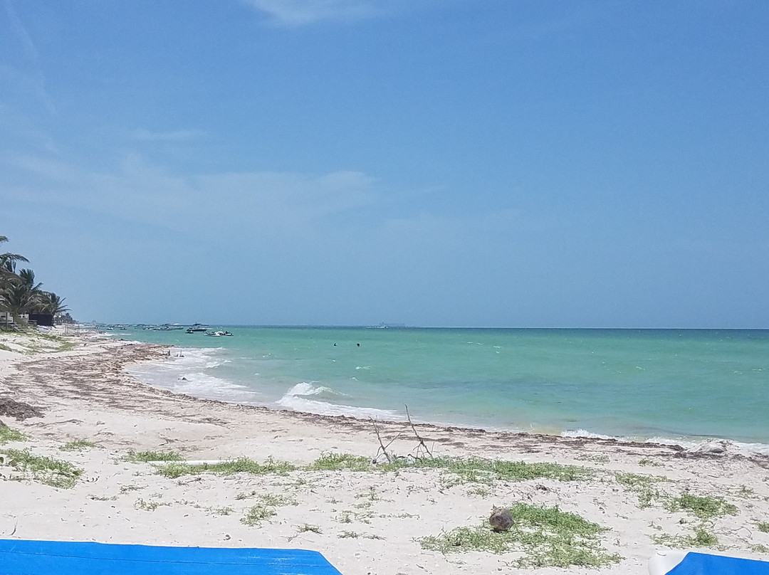 Mi Casa Es Su Casa主图