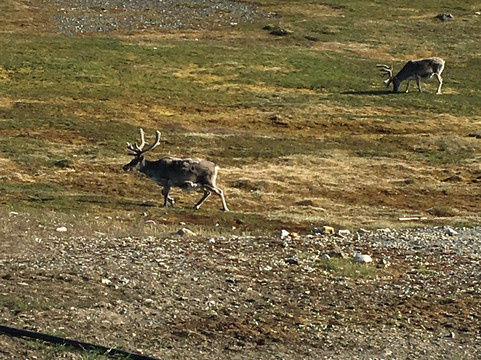 Isfjord Radio Adventure Hotel主图