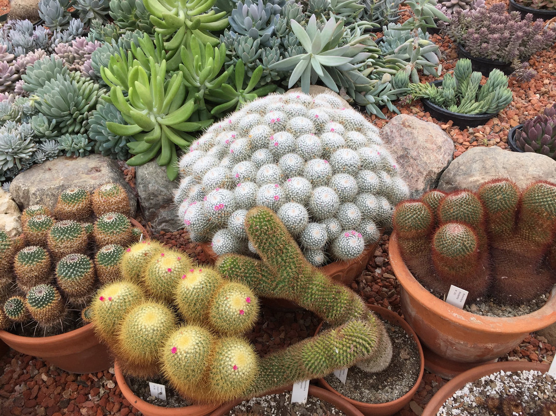 International Peace Gardens-波伊斯维因必去景点