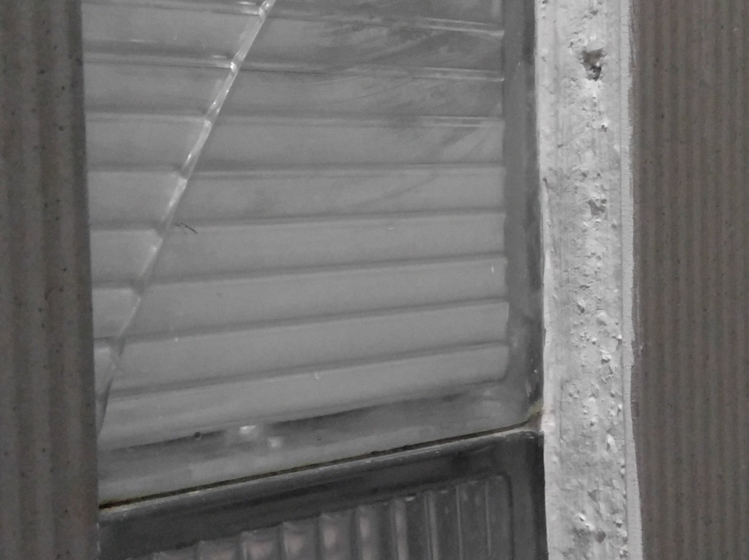 玛瑞安妮塔小屋酒店主图