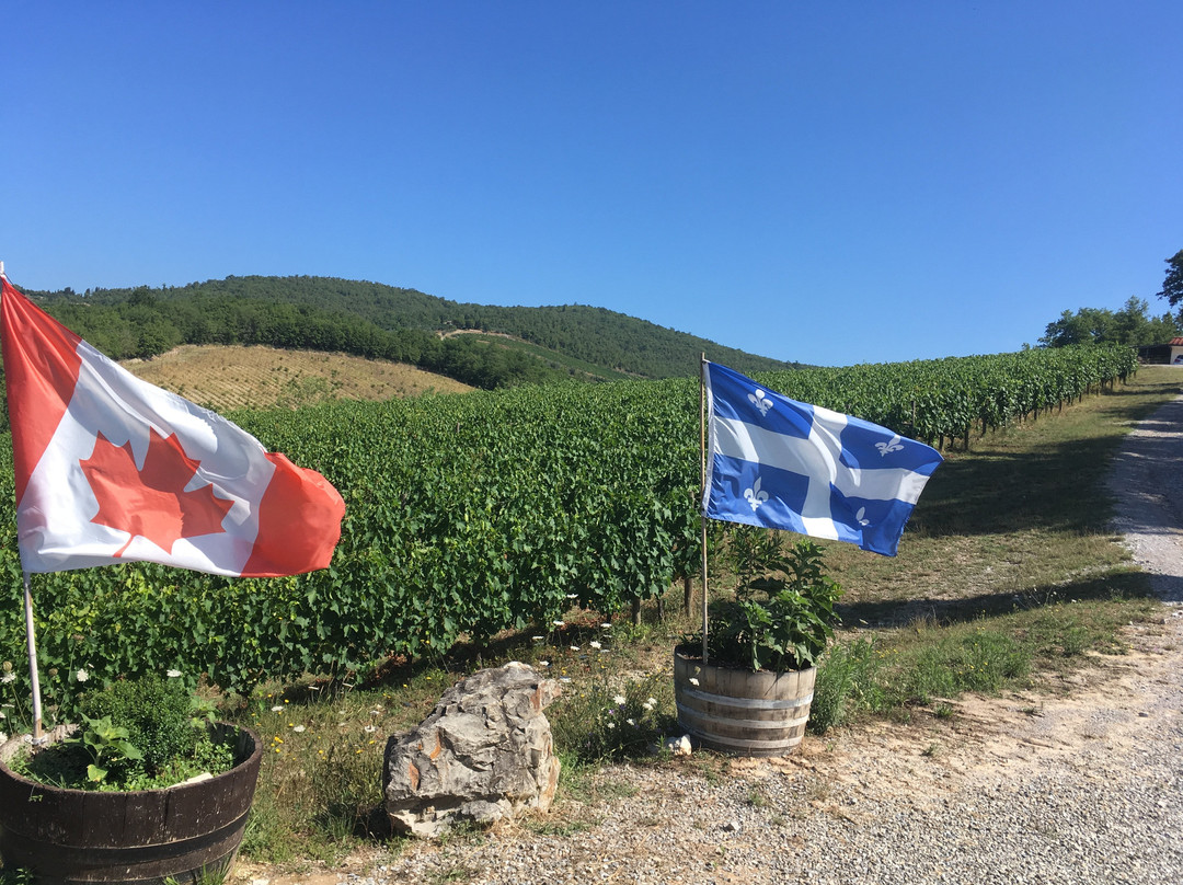 Le Miccine Vineyards And Winery景点图片