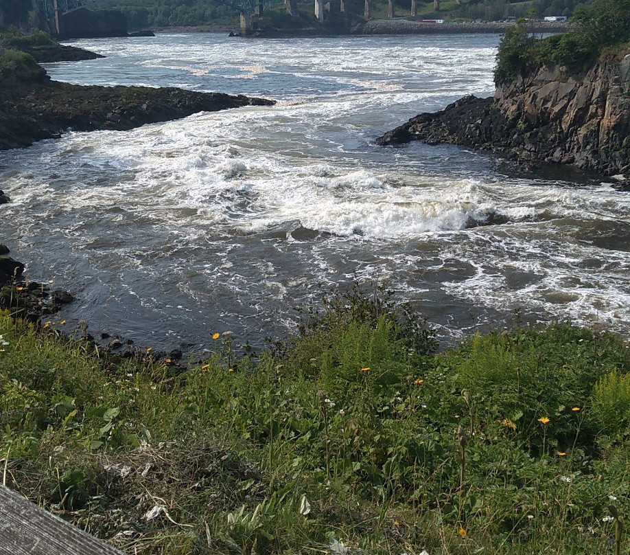 Reversing Falls Rapids景点图片