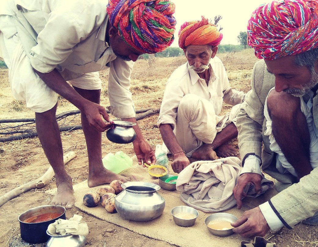 Camel Charisma-Sadri必去景点