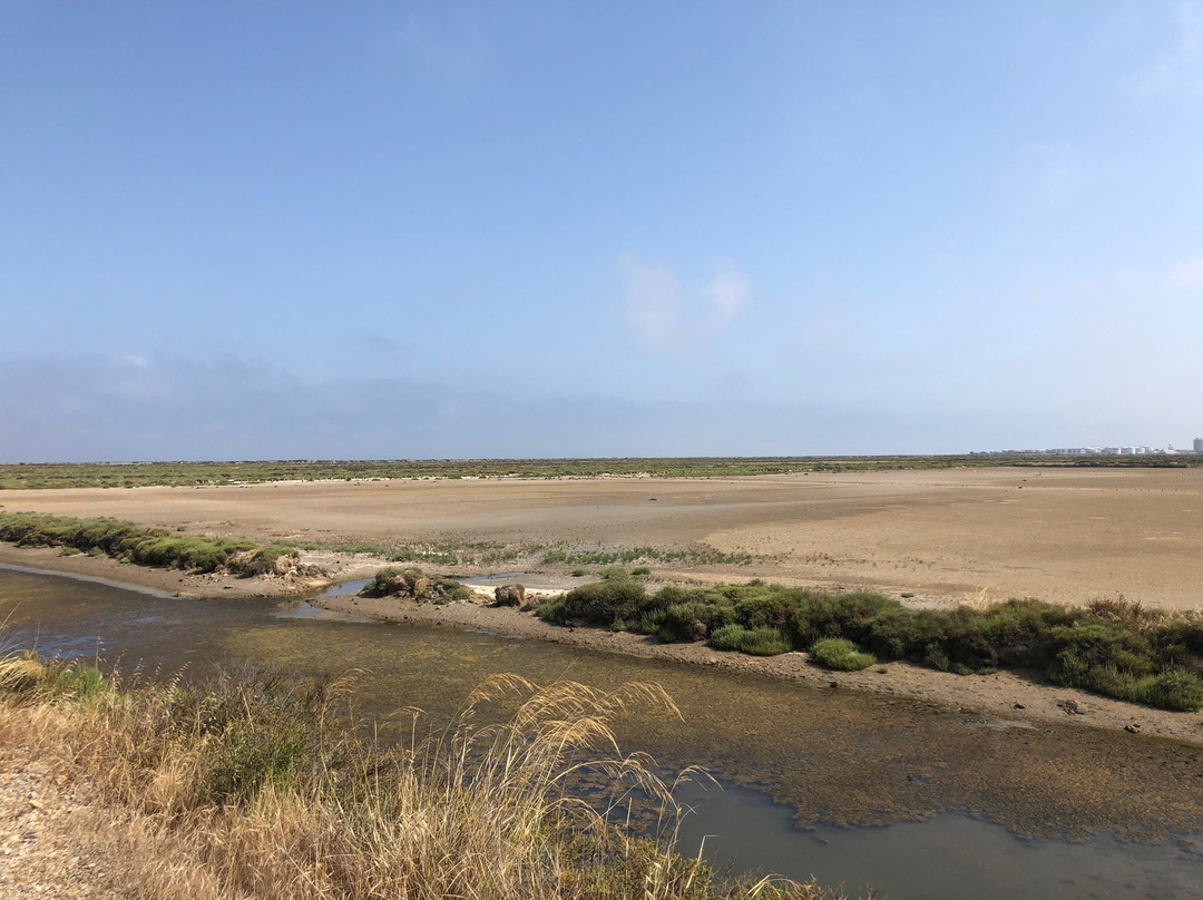 Reserve Naturelle Sainte Lucie-Port La Nouvelle必去景点