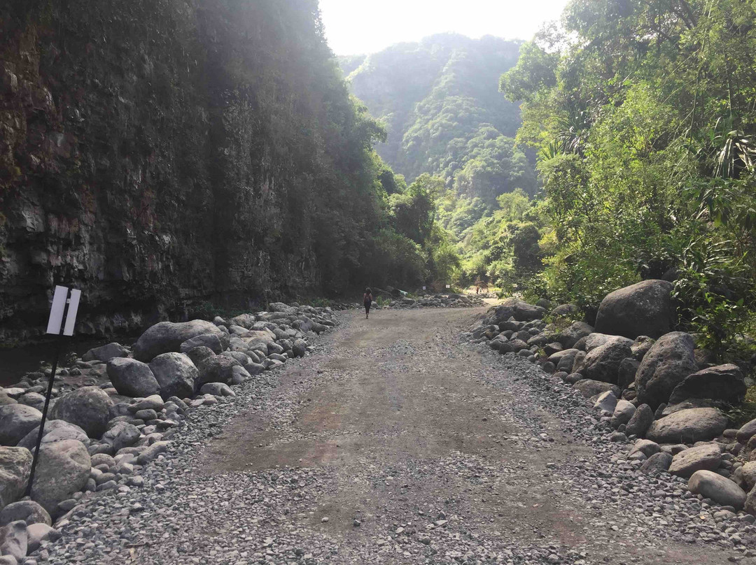 Les Gorges du Bras de la Plaine景点图片