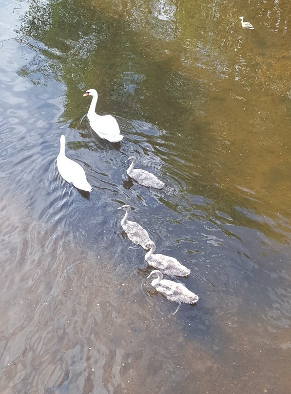 The Golf Tavern主图