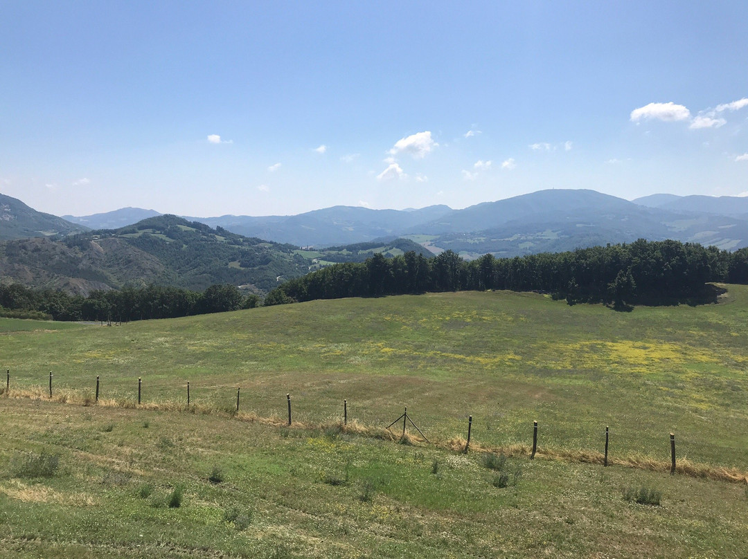 Agriturismo Tenuta Ca Di Bertucci主图