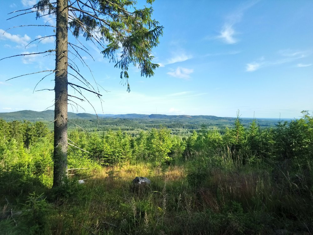 Räsävaara Observation tower-Koli National Park必去景点