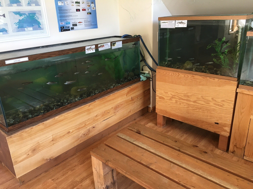 Susitna Salmon Center-塔尔基特纳必去景点