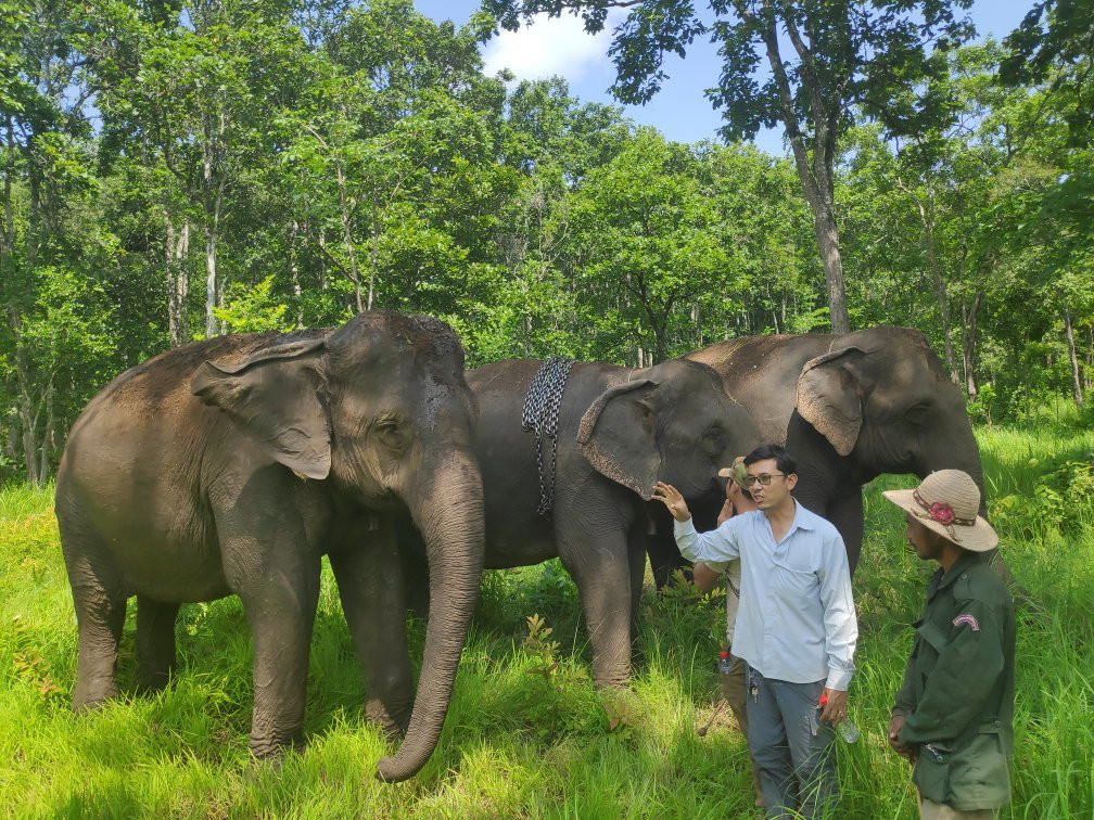 Elephant Community Project - Day Tours景点图片