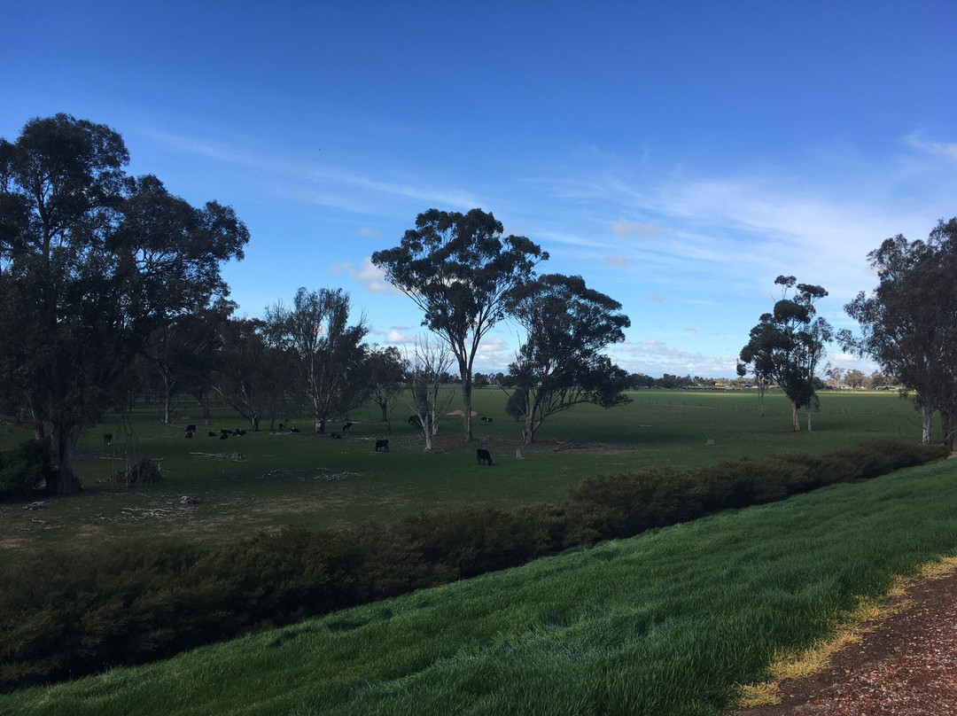 Australian Botanic Gardens Shepparton-谢珀顿必去景点
