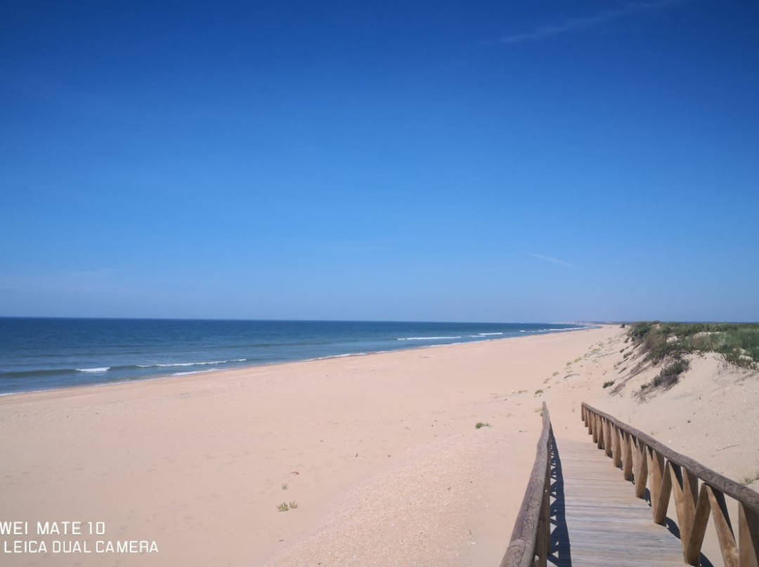 Transbordadores Playas de Cartaya-埃尔龙皮多必去景点