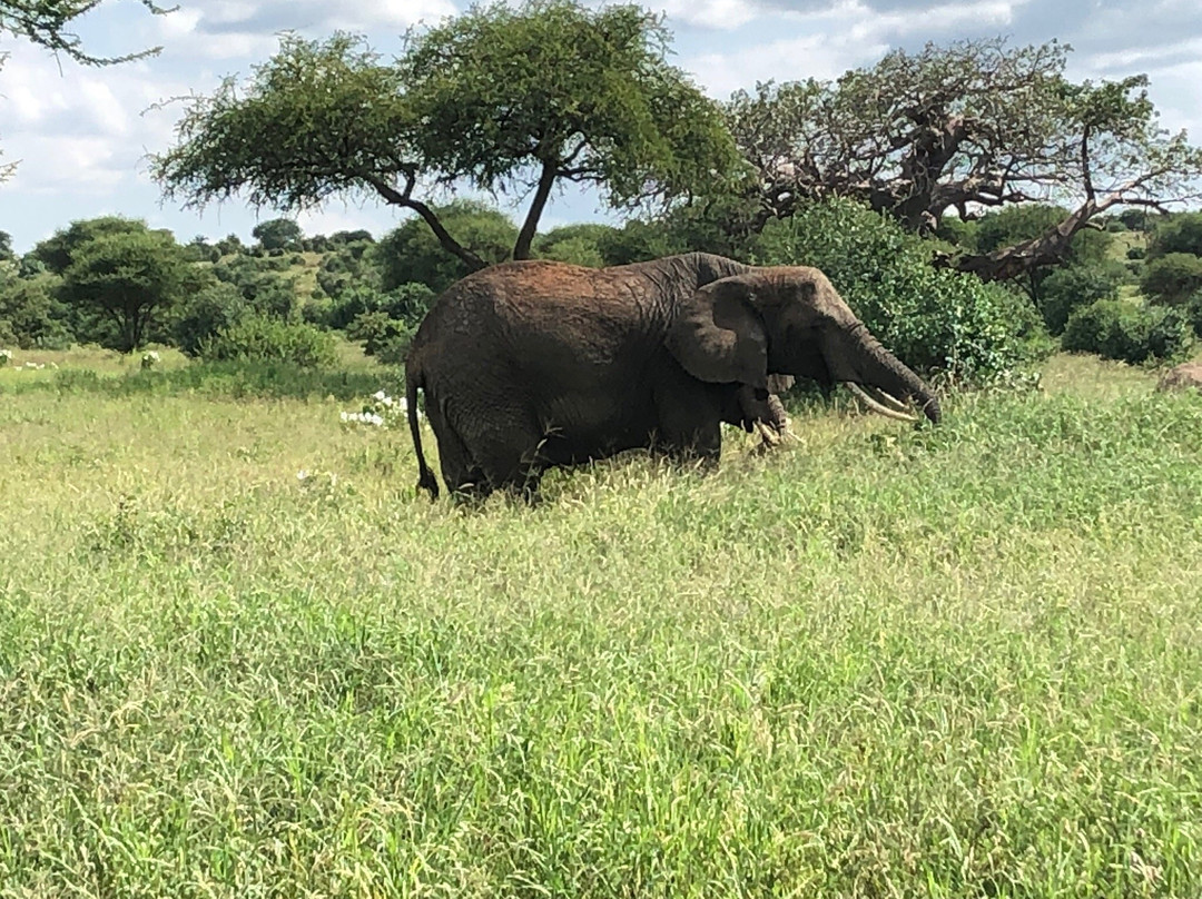 KLM Safaris-莫西必去景点