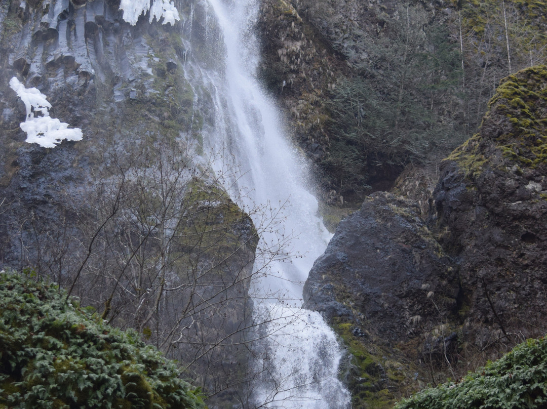Starvation Creek State Park-Cascade Locks必去景点
