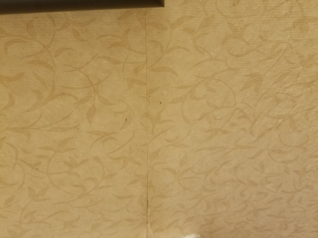 Quality Inn Redding主图