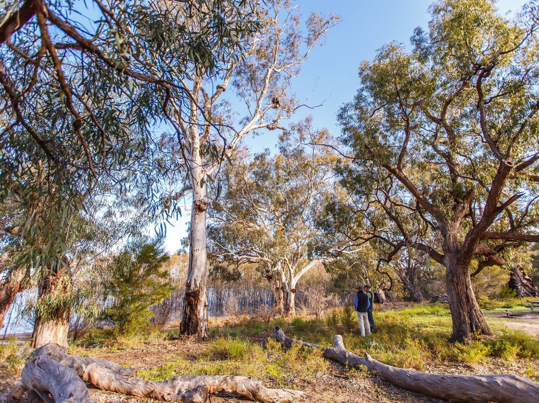 Lake Mournpall-Ouyen必去景点