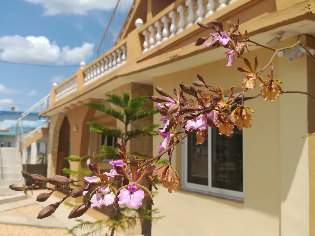 Hostal Nueva Vida主图