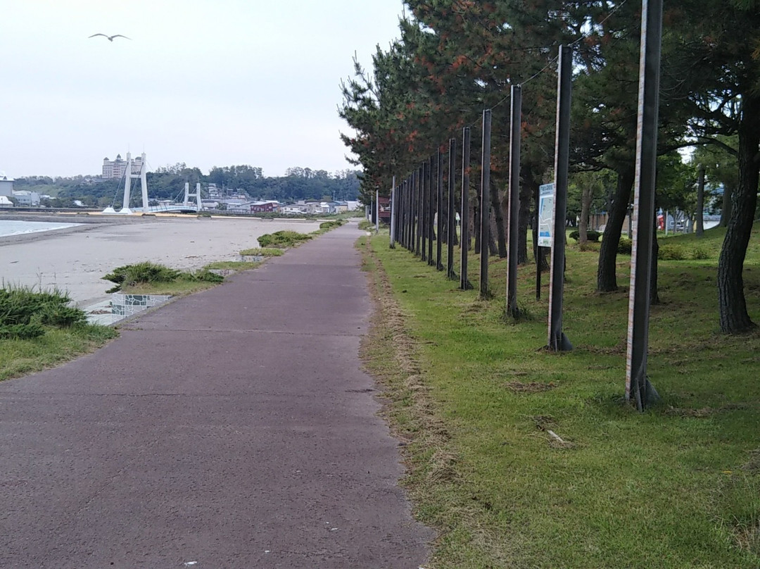 Rosa Rugosa Park-鲹泽町必去景点