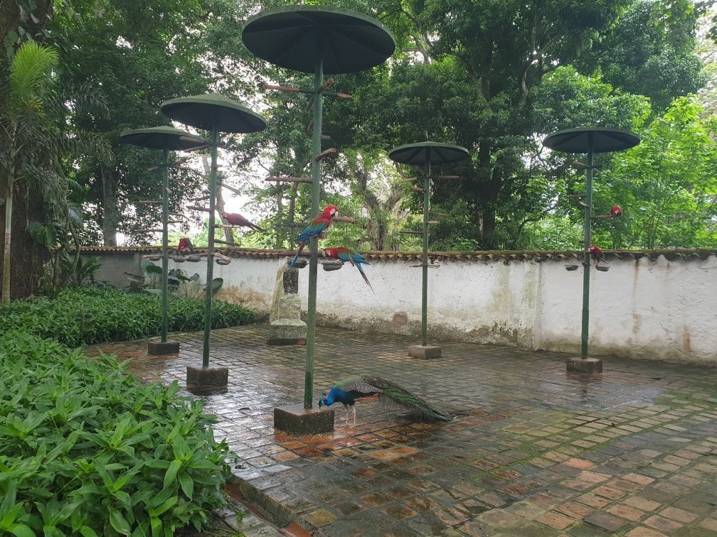 Hotel Antigua Mision Parque & Spa主图