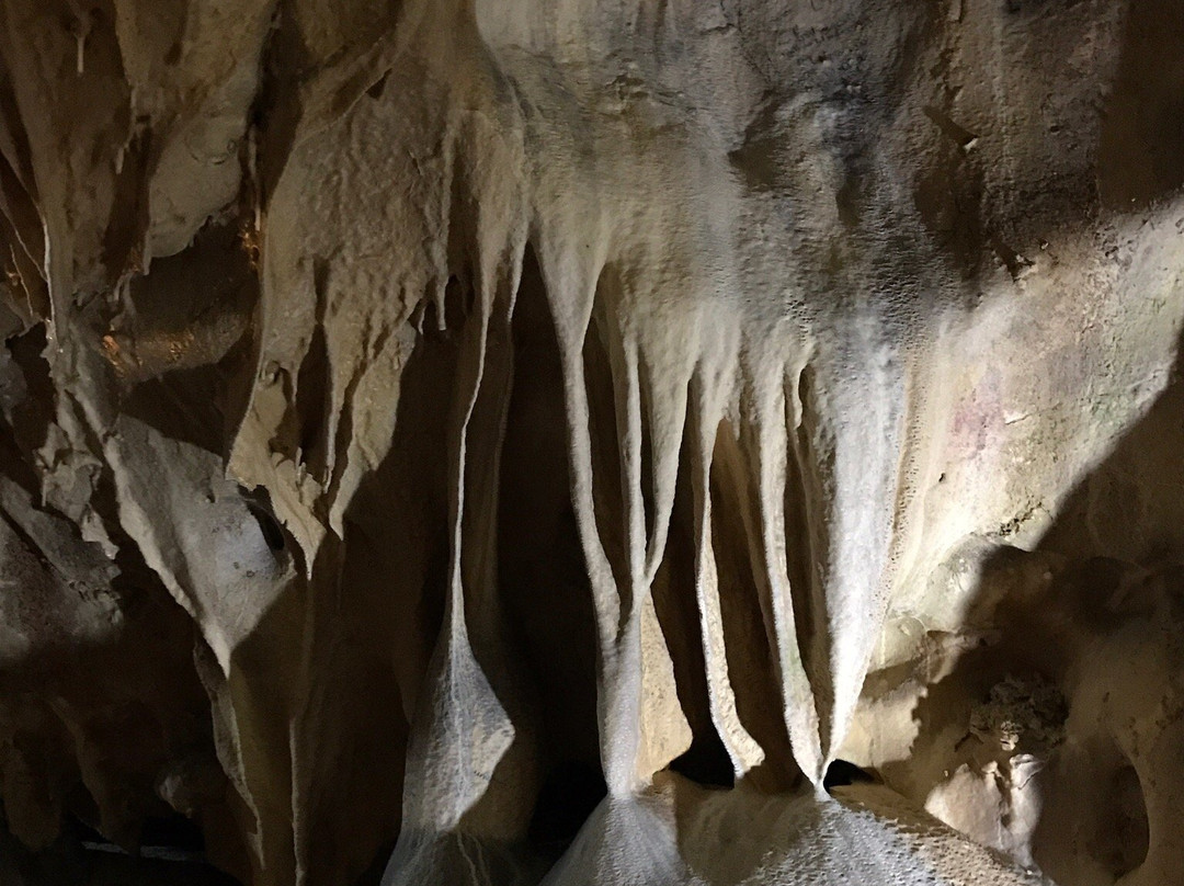 Grottes de Thouzon景点图片