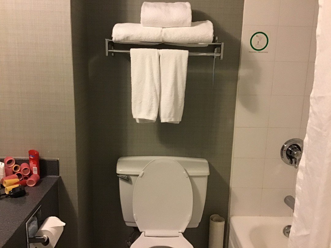 蒙特利尔桑德曼酒店 - 隆格伊主图