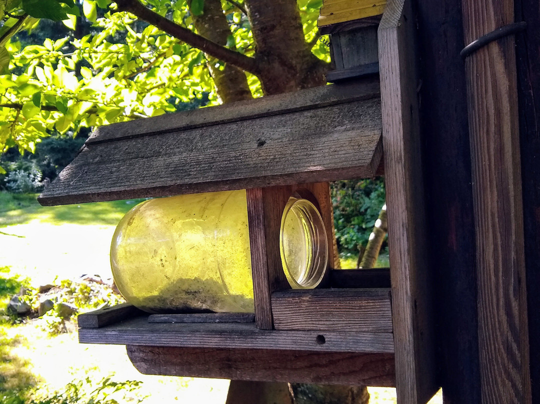 Motel Del Rogue主图