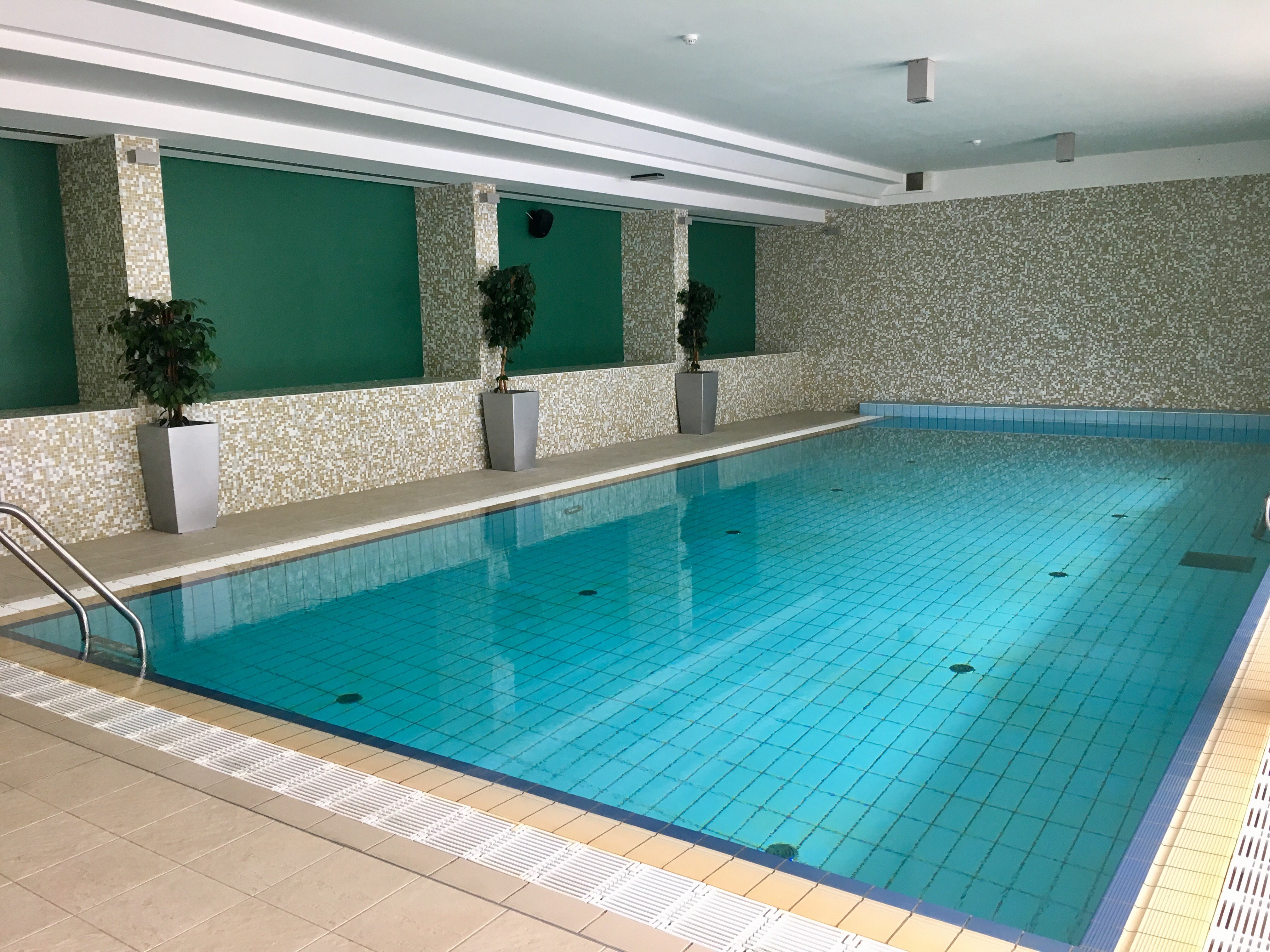 Hotel Trakoscan-泳池