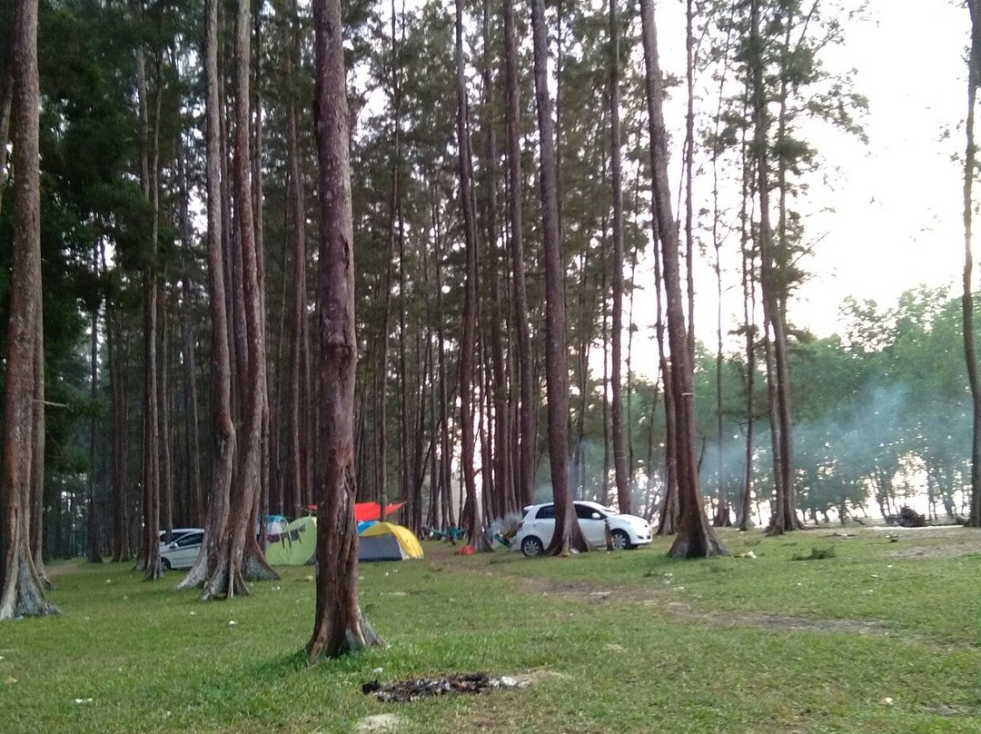 Tanah Merah Beach景点图片